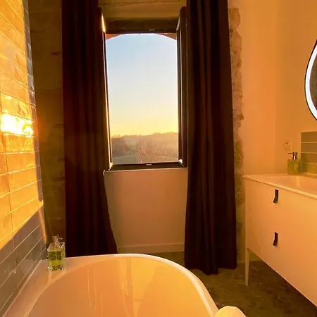 לינה וארוחת בוקר Domaine De Lejos - Portes D'albi 3*