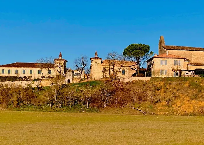 Domaine De Lejos - Portes D'albi Lamillarié