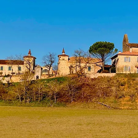 Domaine De Lejos - Portes D'albi Lamillarié
