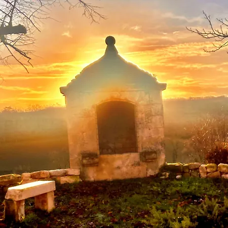 Domaine De Lejos - Portes D'albi Lamillarié