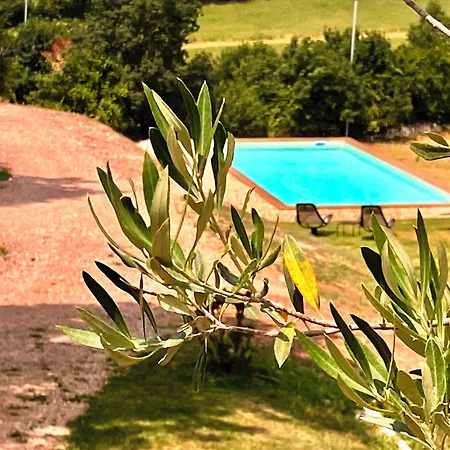 Domaine De Lejos - Portes D'albi Bed & Breakfast 3*